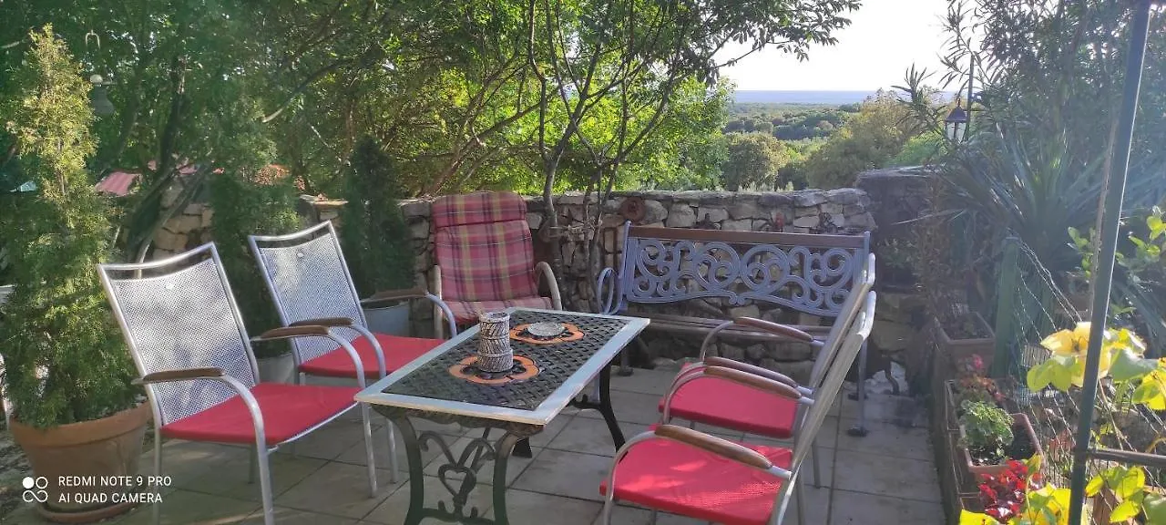 Villa Zdenko Apartment With Sea View Rovinj