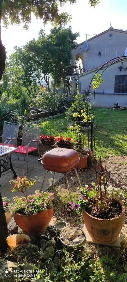 Villa Zdenko Apartment With Sea View Rovinj