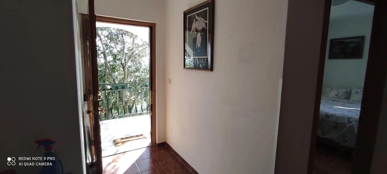 Villa Zdenko Apartment With Sea View Rovinj