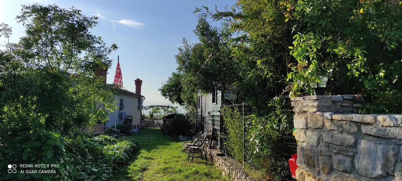 Villa Zdenko Apartment With Sea View Rovinj