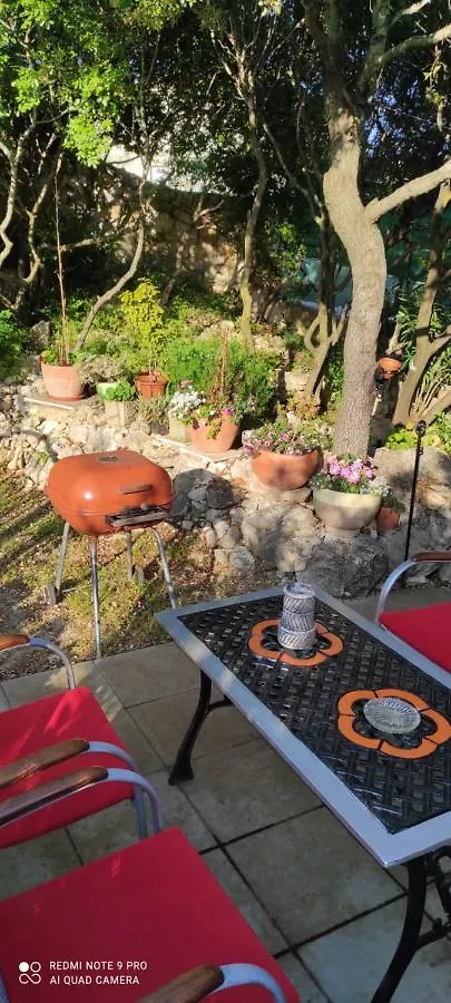 Villa Zdenko Apartment With Sea View Rovinj